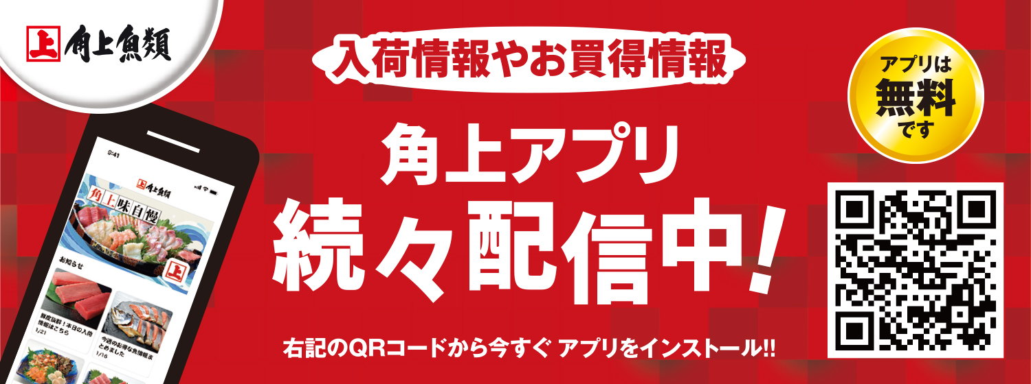角上魚類アプリリニューアル