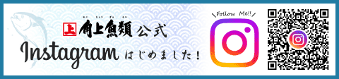 インスタグラムはじめました！
